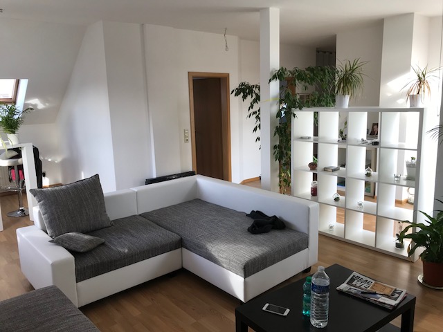 Lichtdurchflutete Atelierwohnung